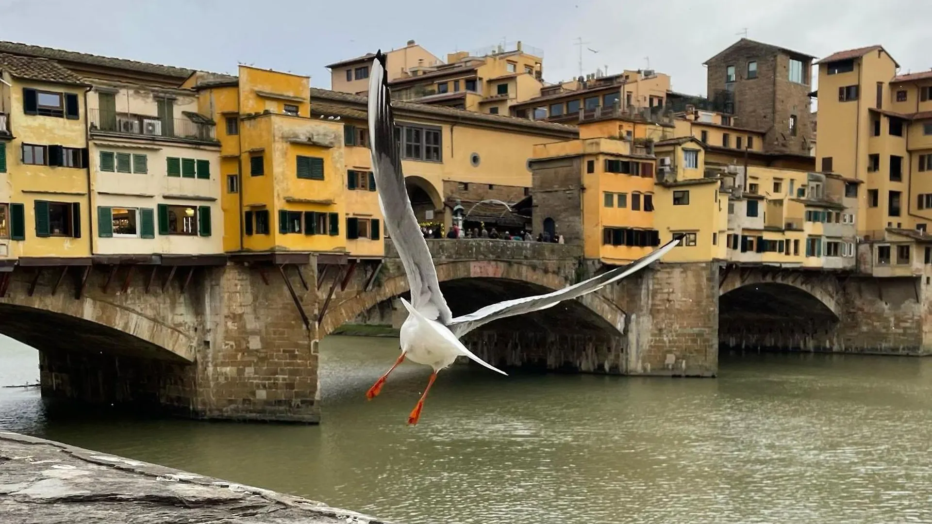 Modern Apartments In The Heart Of Florence